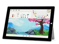 石柱Surface 无法开启、Windows 无法启动或电池无法充电